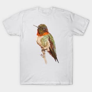 Morning Ruby-throated Hummingbird T-Shirt